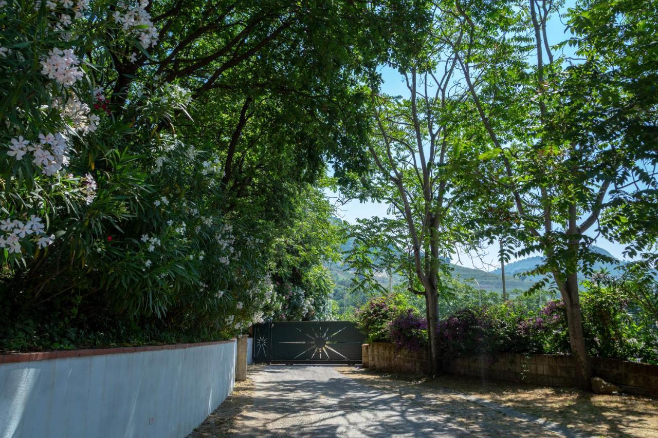 Agave Hotel يوتْسْوولْ المظهر الخارجي الصورة